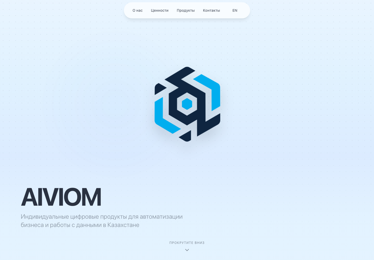 AIVIOM — AI Automation Company Website